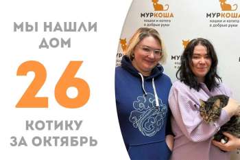 Полосатик Амато обрел дом!