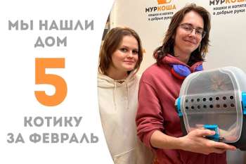 Его Великолепие Анданте отправился царствовать на домашних просторах!