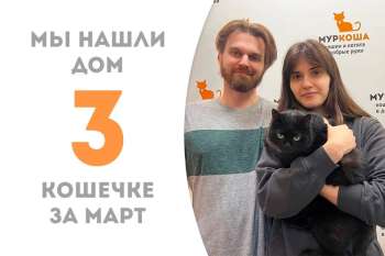 Анника повстречала свою семью!