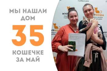 Аррива обрела свою семью!