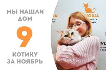 Чудо-котик Атиша обрел дом за 4 дня!