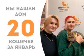 Спустя месяц с нами прощается Атланта!