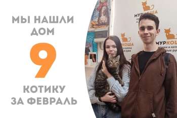 Авангард становится домашним!