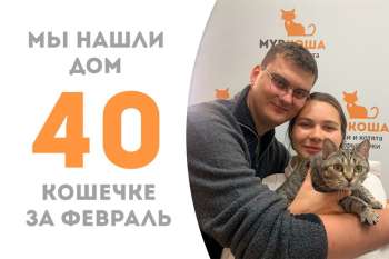 Полную счастья Авоську увезли домой!
