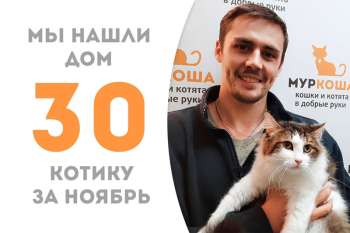 Симпатяжка Айто стал домашним!