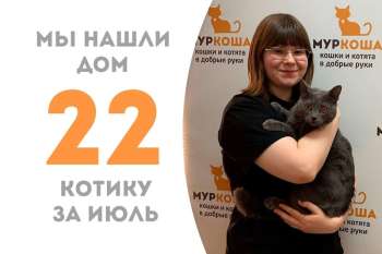 Бардачок поехал домой наводить порядок!