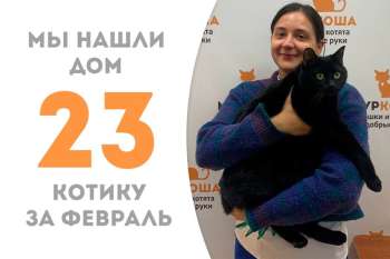 Бартлби встретил свою добрую хозяйку!