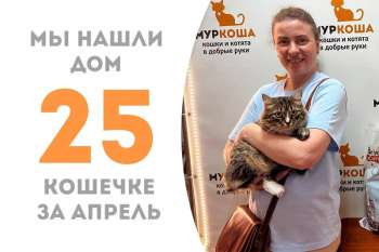 Всего два с половиной месяца потребовалось Бергении, чтобы встретить свою добрую хозяйку!