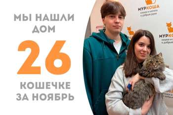Полосатые щечки Биэла стала домашней!