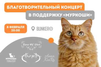 Благотворительный концерт в поддержку "Муркоши"