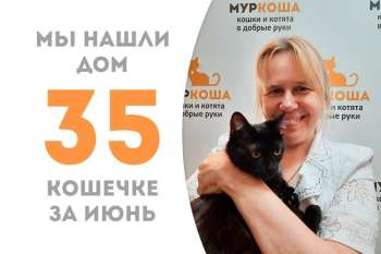 Блеки обрела настоящий дом!