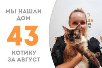 Блогер становится домашним спустя три недели пребывания в приюте!