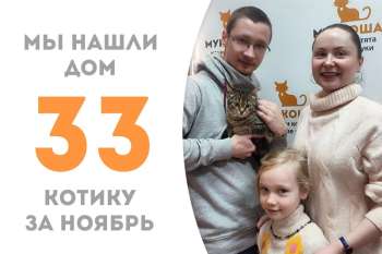Меньше месяца понадобилось котенку Брунио, чтобы обрести дом!
