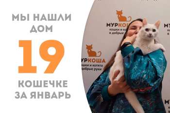 Брюсильда переезжает с к нашим выпускникам, Синсин и Чашечке!