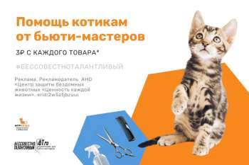 Творить красоту — с заботой о котиках!