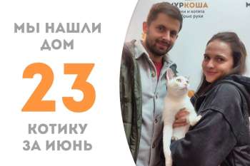 Милашик Чебз нашёл дом всего за два месяца!