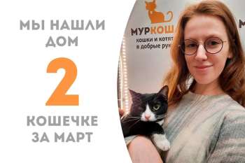 Чиана получает подарок на День кошек – кроха уезжает домой!