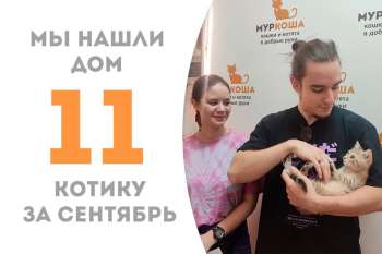 Меньше чем за 2 месяца милый Чоко стал нашим счастливчиком!