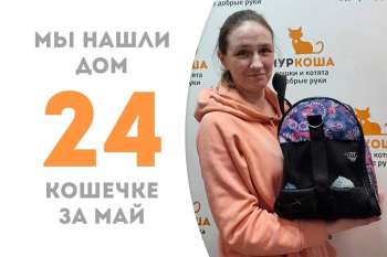 Чудинка уехала домой!