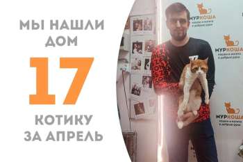 Цум становится счастливчиком!