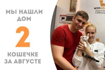 Девин всего за четыре дня сумела обрести семью!