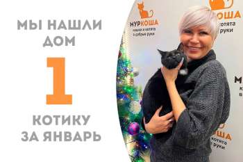 Дивный Дикси открывает парад счастливчиков 2025 года!