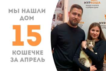 Не прошло и пары недель, а Дисканта уже едет домой!