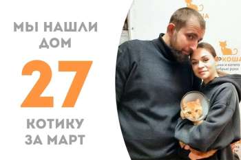 Дроздик, пробыв у нас чуть более недели, уже успел встретить своих людей и собирается вить семейное гнездо!