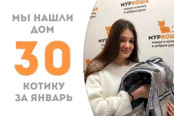 Малышок Дубай пробыл у нас всего 11 дней и уже успел встретить свою хозяйку!