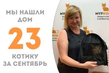 Полосатик Джим обрел дом!