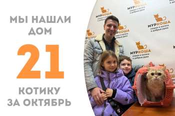 10 дней потребовалось Джоуджоу, чтобы найти дом!
