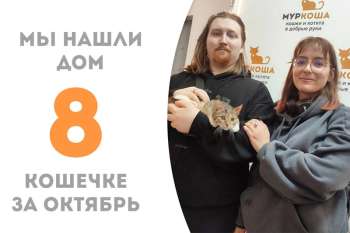 Джудит нашла дом за 2 месяца!