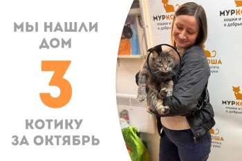 Меньше месяца понадобилось Эдику, чтобы стать домашним!