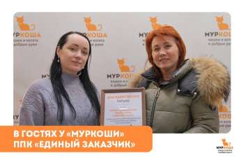 Гости "Муркоши". ППК «Единый заказчик»