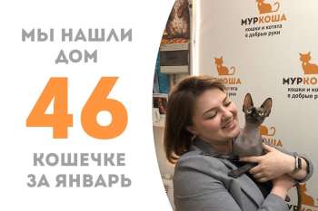 Прошло всего 2 месяца, и великолепная Емельяна снова домашняя!