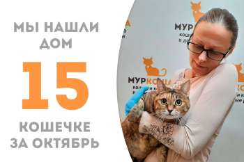 Утонченная Энни уехала домой!