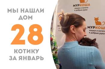 Полтора месяца потребовалось Эштону, чтобы встретить свою добрую хозяйку!