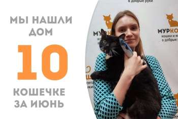 Европа обретает семью, где её уже ждёт наша выпускница Юнси!