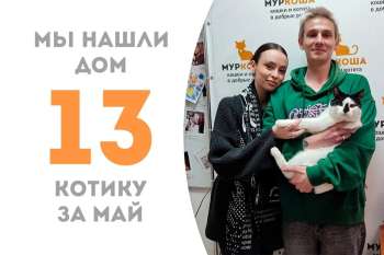Не прошло и пары недель с возвращения, а Фарамир уже вновь уезжает домой!