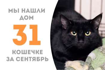 Волшебная Фэнтэзи уехала домой к Эмори!