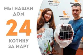 Фигаро нашел дом всего за месяц с небольшим!