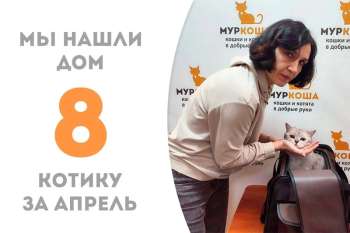 Филат становится домашним!