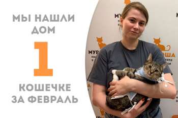 Милашка Флорентина становится зачинателем февральских новичков!