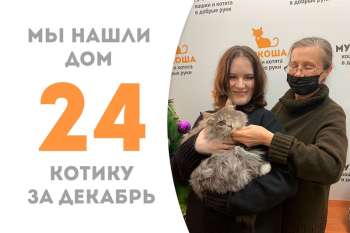 Непревзойденный Фомальгаут нашел дом!