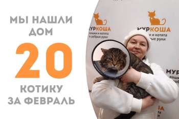 Месяц — и обаятельный Француз дома!