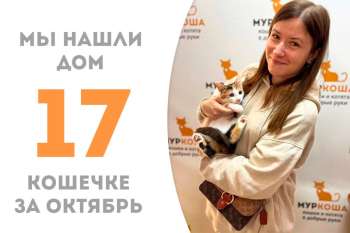 Миниатюрная Гемма уехала в уютный дом!