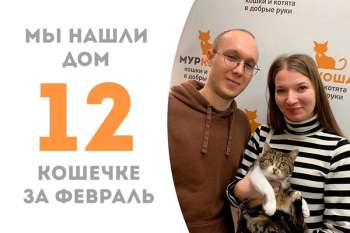 Гитис уезжает покорять домашнюю сцену!