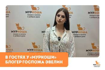 Гости "Муркоши". Блогер Госпожа Эвелин