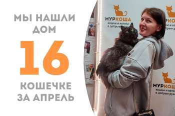Грэйни повстречала своего человека!