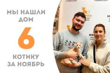 Бойкий Гудёнок стал домашним!